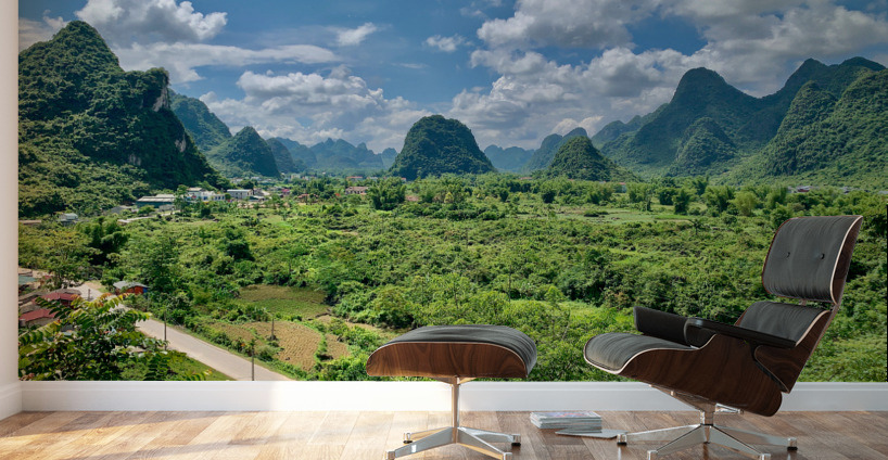 Mountain Valley Wall Murals