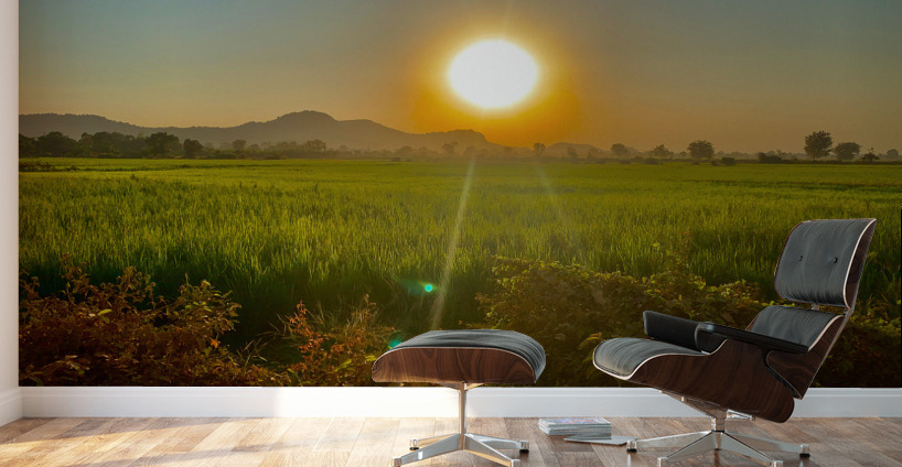 Sunset Over the Field Wall Murals