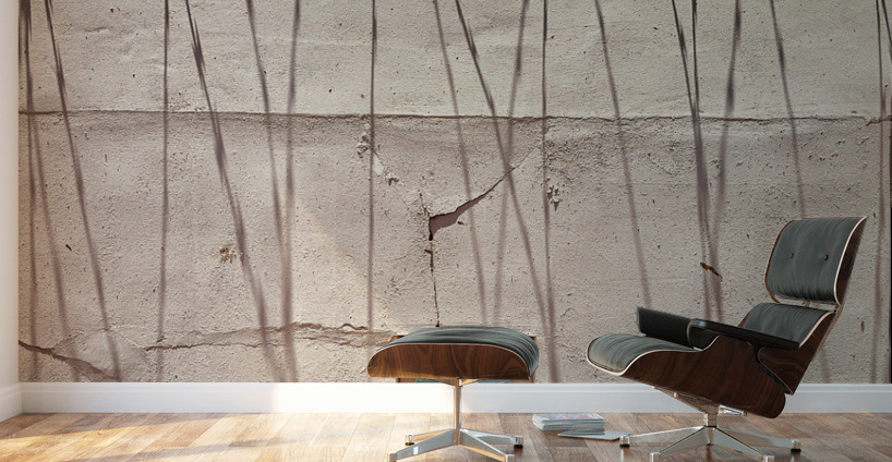 The Wall Wall Murals