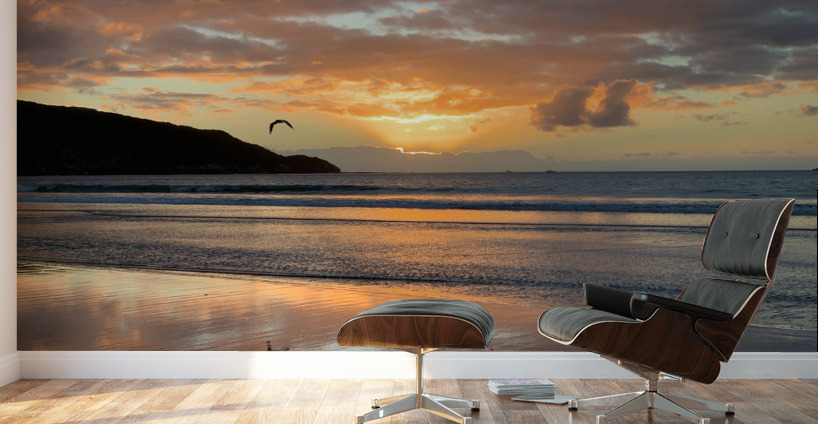 Amazing Sunset with Bird Wall Murals