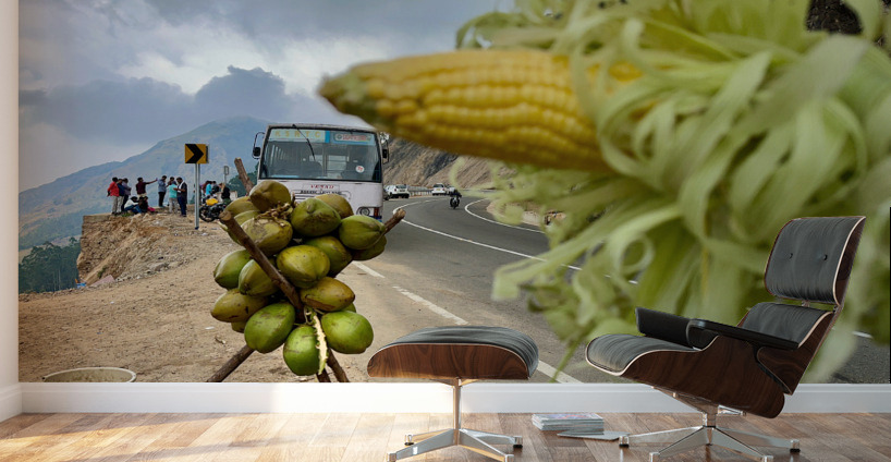 Corn  Coconuts Wall Murals
