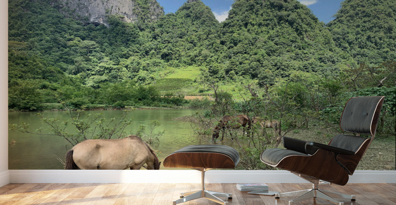 Horses in Paradise Wall Murals