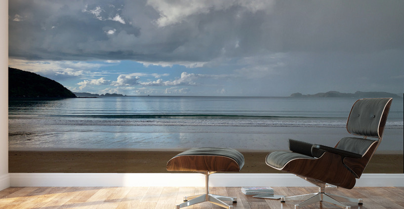 Half Nice Half Rain Wall Murals