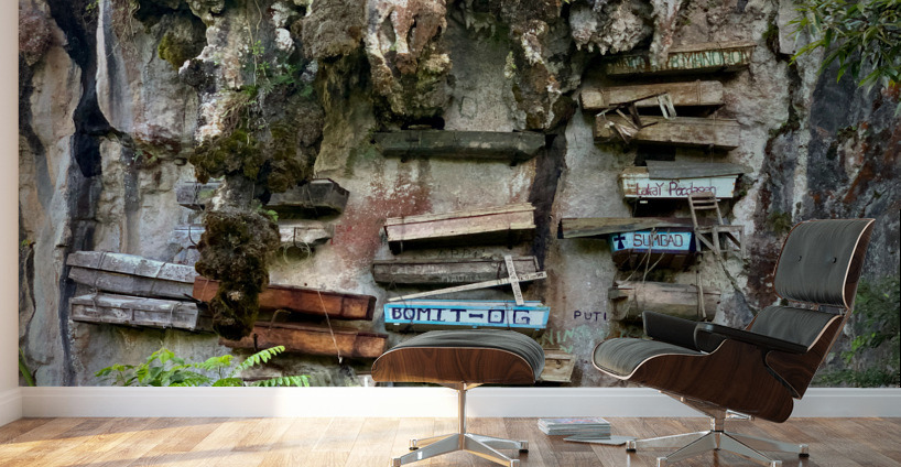 Hanging Coffins Wall Murals