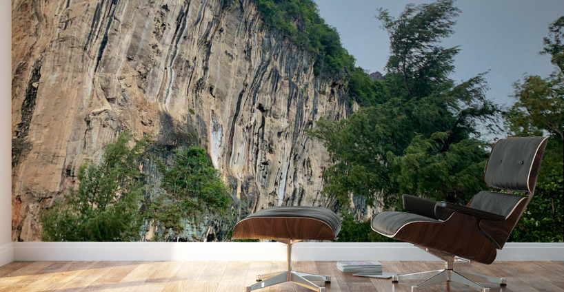 Living on the Beach Wall Murals