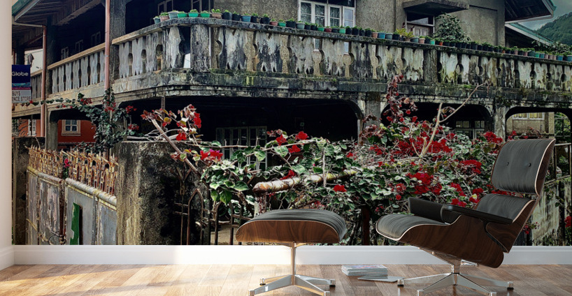 Scary House Wall Murals