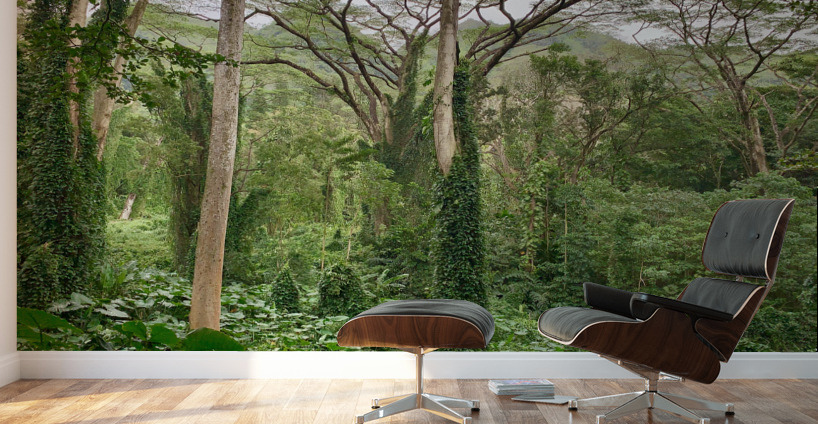 The Canopy Wall Murals