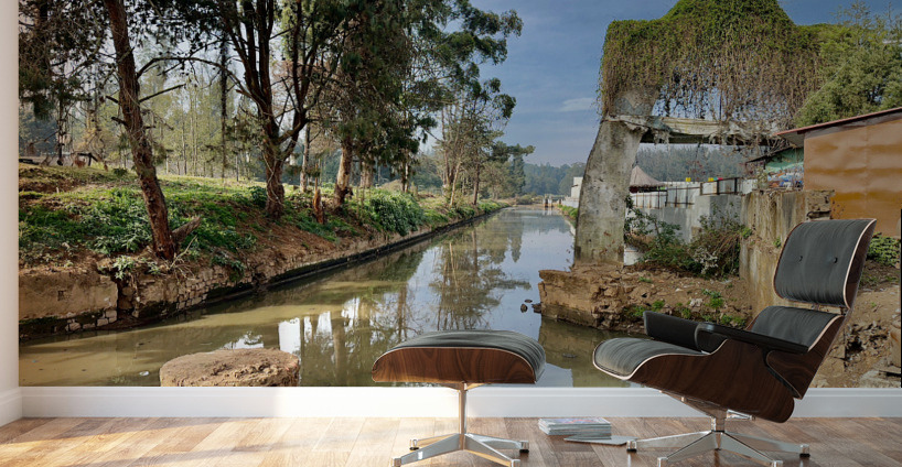 Little Waterway Wall Murals