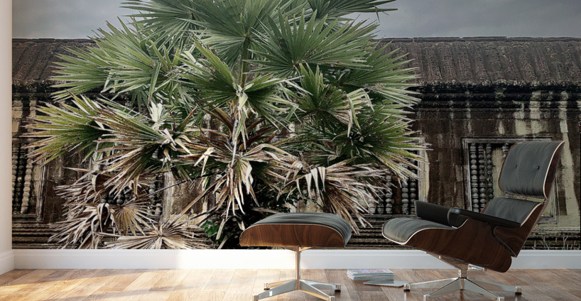 Angkor Wat Temple 16 Wall Murals