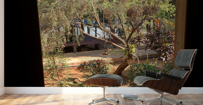 Tree by the Window 2 Wall Murals