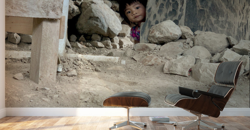 Hiding Little Girl Wall Murals