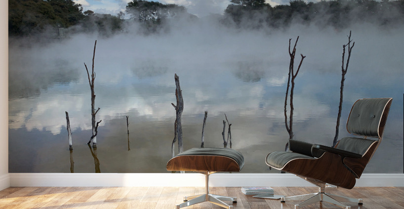 Branches reflections Wall Murals