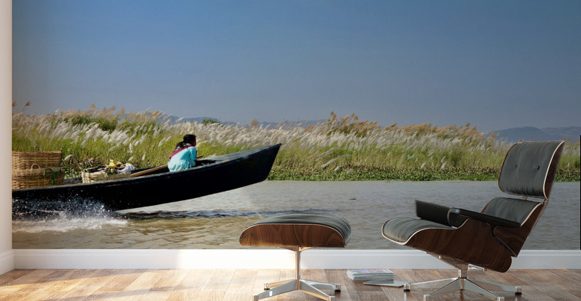 Fast Boat on the River Wall Murals