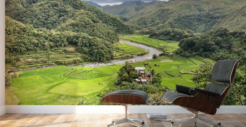 Rice Valley Wall Murals