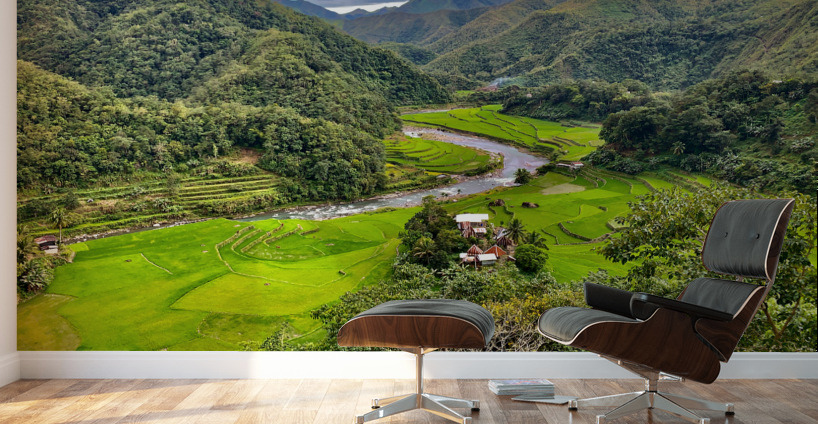 Rice Valley 2 Wall Murals