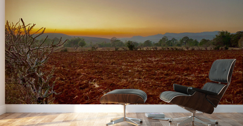 Sunset Over the Red Soil  Wall Murals