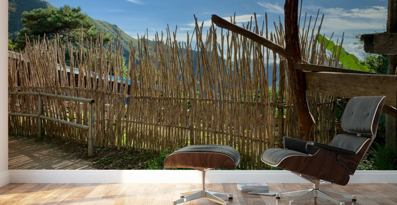 Sun Through the Bamboo Fence Wall Murals