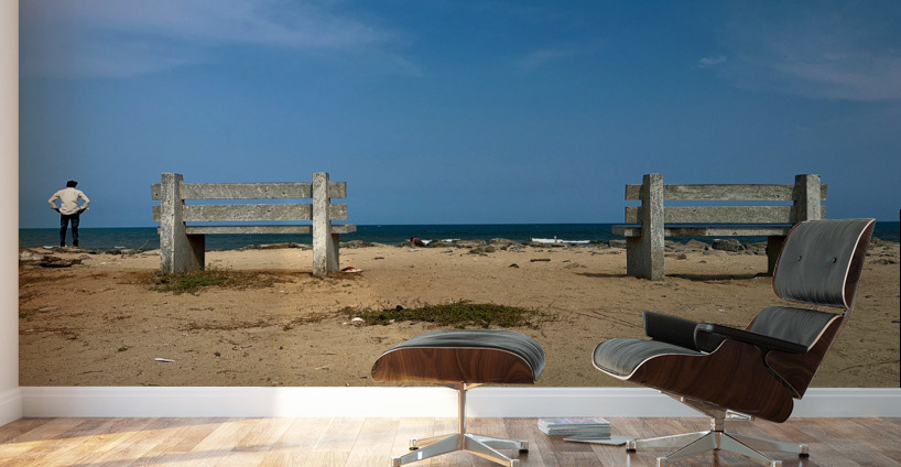 The Twin Benches Wall Murals