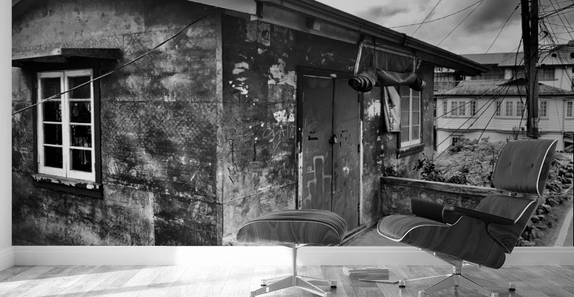 BW House Wall Murals