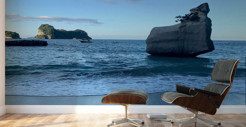 Nice Rock View From the Beach Wall Murals