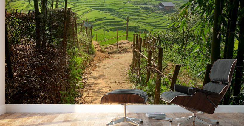 Enter the Rice Fields Wall Murals