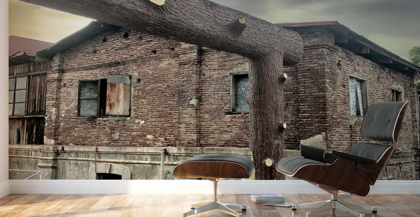 The Crown Wall Murals