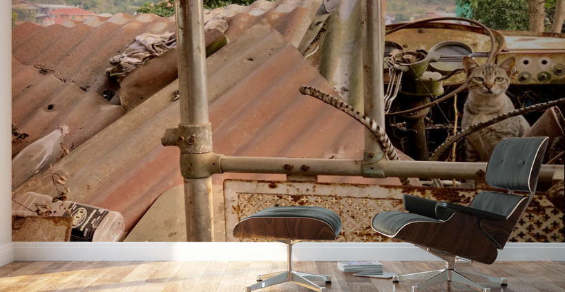 The Cat Living in the Ambulance Wall Murals