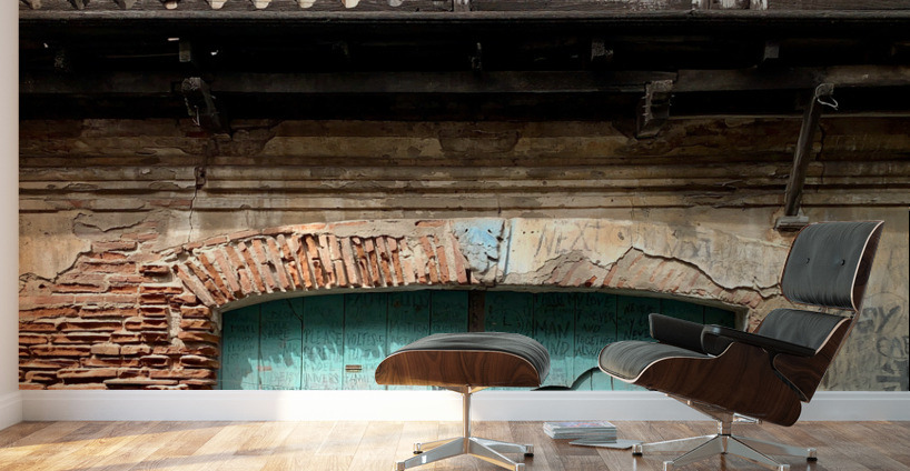 The Blue Doors Wall Murals