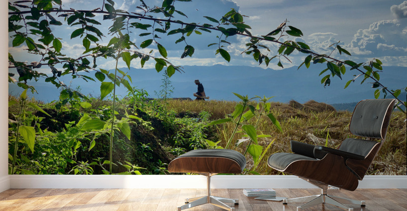 Working the Rice Fields Wall Murals