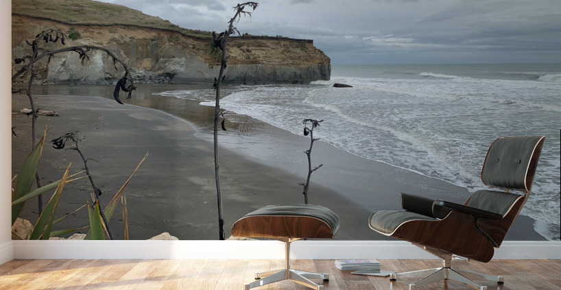 Black Sand on the Coast 2 Wall Murals