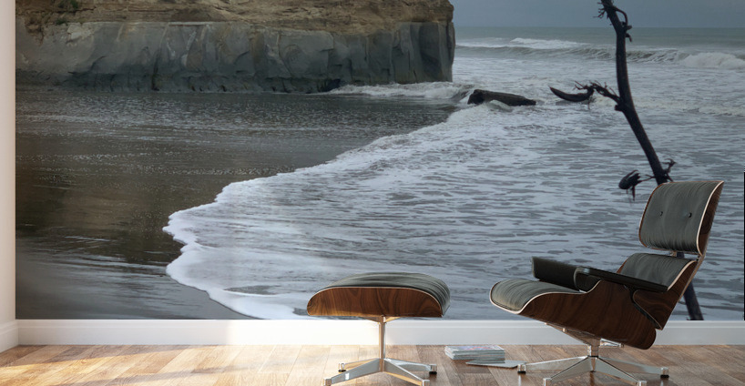 Black Sand on the Coast Wall Murals