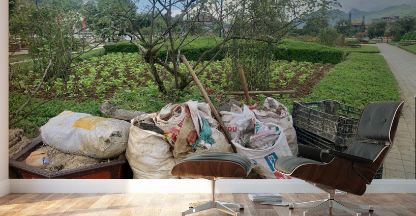 Lets Clean the Park Wall Murals