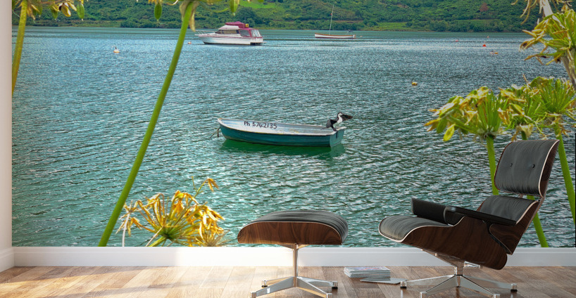 Empty Boat on the Lake Wall Murals