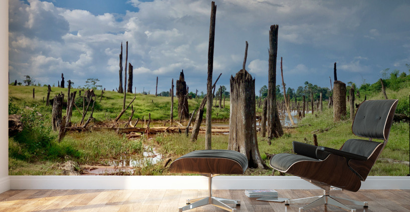 Field of Broken Trees Wall Murals