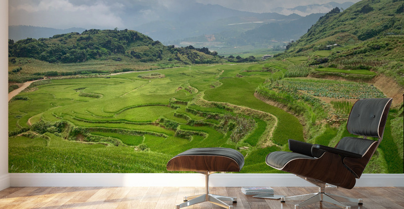 Rice Plateau Wall Murals