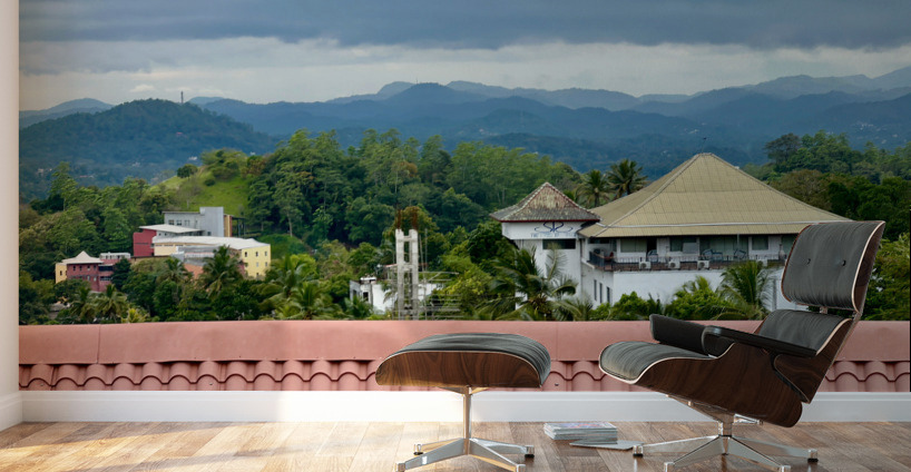 Mountains passed the Roof Wall Murals