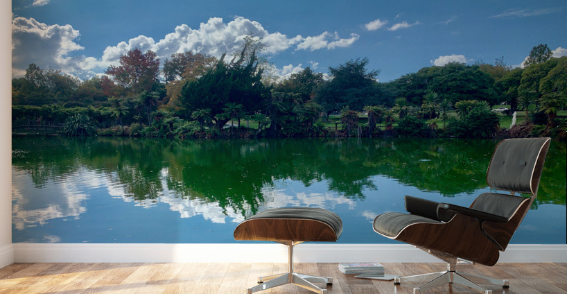 Nature s Own Reflection Wall Murals