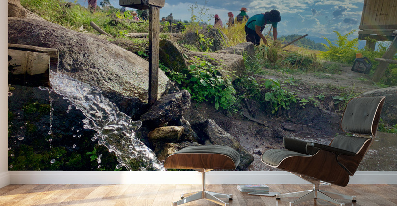 Water for the Rice Field Workers Wall Murals