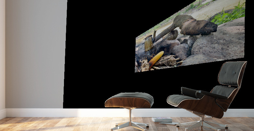 Corn and Tea on the Fire Wall Murals