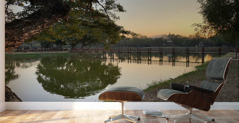 Perfect Tree Reflection During Sunset Wall Murals