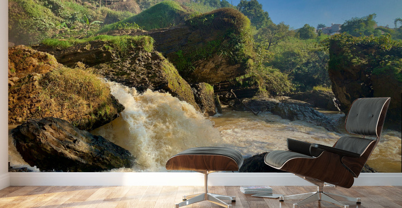 Elephant Waterfalls 2 Wall Murals