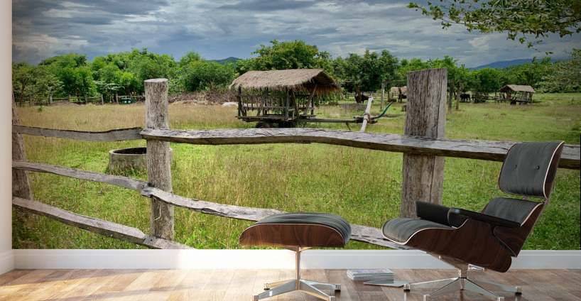 Looking at the Farm Wall Murals