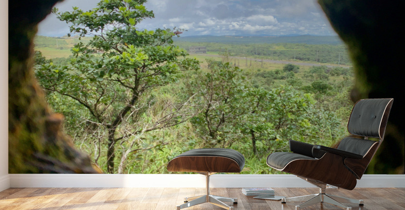 Nature Through the Hole Wall Murals