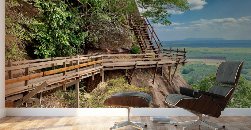 The Amazing Wat Phu Tok 3 Wall Murals