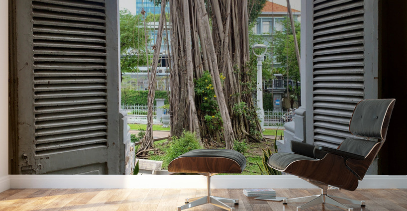 Welcome Mr Tree Wall Murals