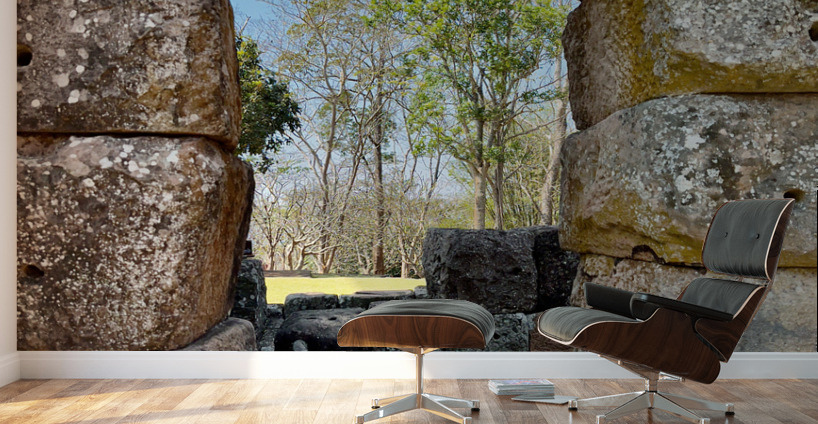 There is a Tree Outside Wall Murals