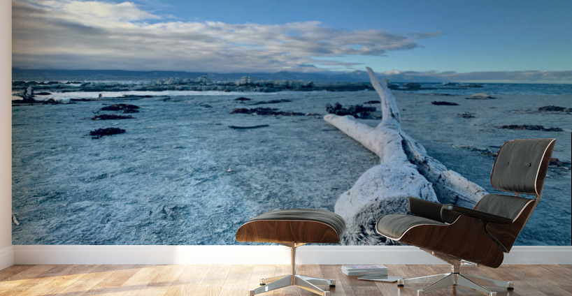 Broken Wood Perspective Wall Murals