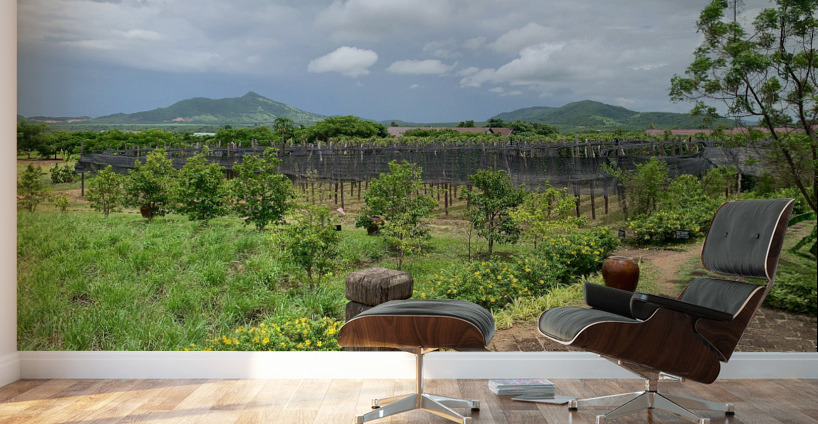 The Pepper Plantations Wall Murals