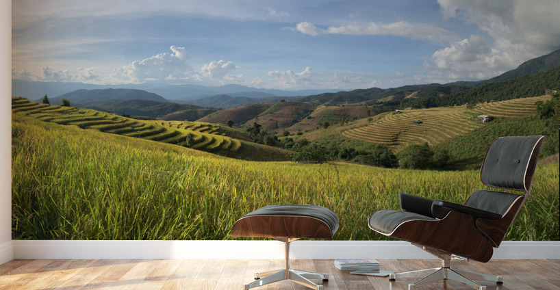 Beautiful Rice Field 2 Wall Murals