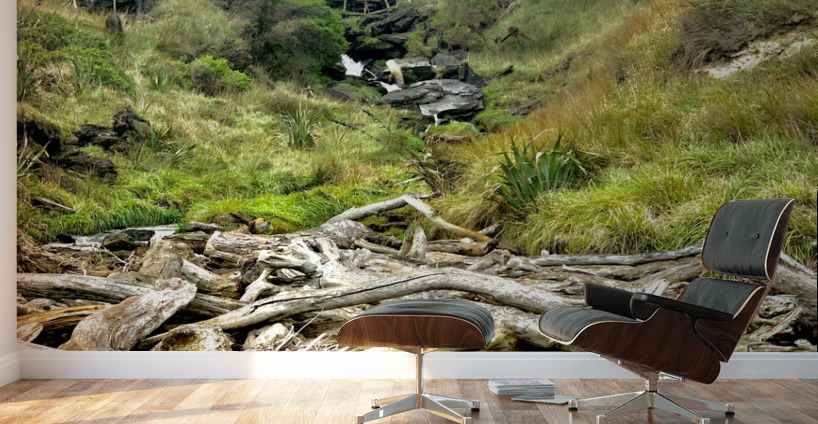 Beautiful Nature Wall Murals